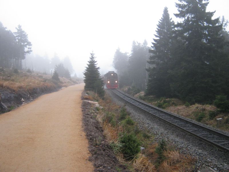 2009-10-29 Brocken (03)....and the train....